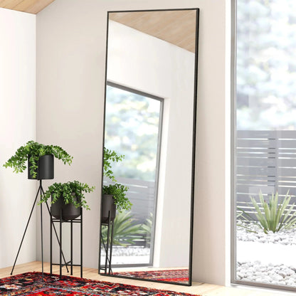 Full Length Wall Mounted Dressing Mirror, 65 in H x 22 in W